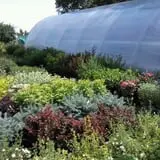 Holly Acres Tree Nursery and Garden Center photo
