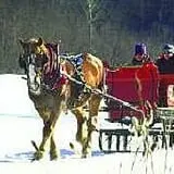 Holly Acres Tree Nursery and Garden Center photo