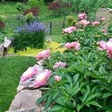 Holly Acres Tree Nursery and Garden Center photo