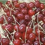 Holly Acres Tree Nursery and Garden Center photo