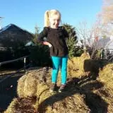Holly Acres Tree Nursery and Garden Center photo