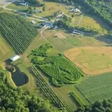 Treworgy Family Orchards's Corn Maze photo