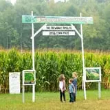 Treworgy Family Orchards's Corn Maze photo