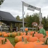 Treworgy Family Orchards's Corn Maze photo