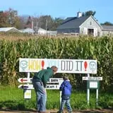 Treworgy Family Orchards's Corn Maze photo