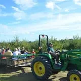 Treworgy Family Orchards's Corn Maze photo