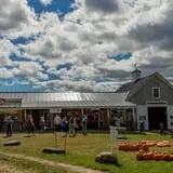 Treworgy Family Orchards's Corn Maze photo