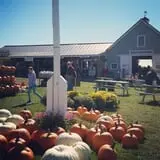 Treworgy Family Orchards's Corn Maze photo
