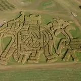 Treworgy Family Orchards's Corn Maze photo