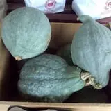 Pleasant Pond Orchard photo