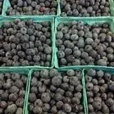 Pleasant Pond Orchard photo