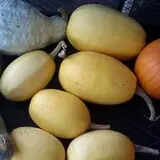 Pleasant Pond Orchard photo