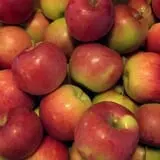 Pleasant Pond Orchard photo