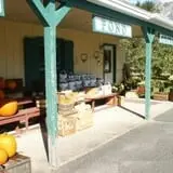 Pleasant Pond Orchard photo