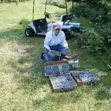 Pleasant Pond Orchard photo