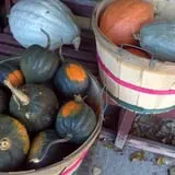 Pleasant Pond Orchard photo