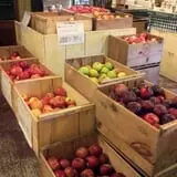 Pleasant Pond Orchard photo