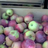 Pleasant Pond Orchard photo