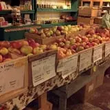 Pleasant Pond Orchard photo