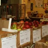 Pleasant Pond Orchard photo