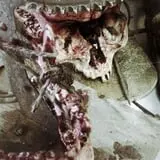 Mortuary Haunted House photo