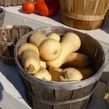 Hackleboro Orchards photo