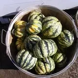 Hackleboro Orchards photo