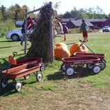 Hackleboro Orchards photo