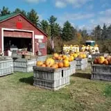 Hackleboro Orchards photo