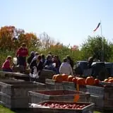Hackleboro Orchards photo