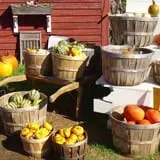 Hackleboro Orchards photo