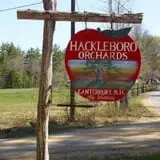 Hackleboro Orchards photo