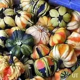 The Pumpkin Hollow photo