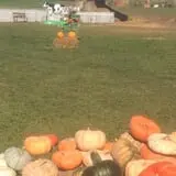 The Pumpkin Hollow photo