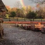 The Pumpkin Hollow photo