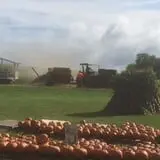 The Pumpkin Hollow photo