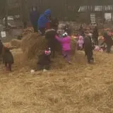 The Pumpkin Hollow photo