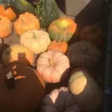The Pumpkin Hollow photo