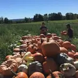 The Pumpkin Hollow photo