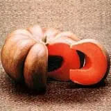 The Pumpkin Hollow photo