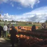 The Pumpkin Hollow photo
