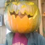 The Pumpkin Hollow photo