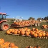 The Pumpkin Hollow photo