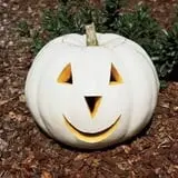 The Pumpkin Hollow photo