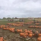The Pumpkin Hollow photo