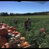 The Pumpkin Hollow photo