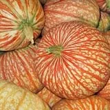 The Pumpkin Hollow photo