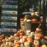 The Pumpkin Hollow photo