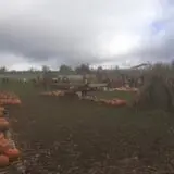 The Pumpkin Hollow photo