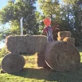 The Pumpkin Hollow photo
